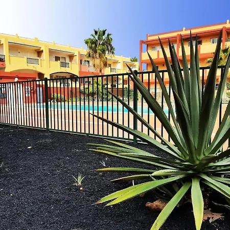 Rosie House 2 * Parque Holandes